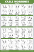 Palace Learning 3 Pack - Dumbbell Workouts + Barbell Exercises + Cable Machine Workouts - Set of 3 Workout Charts (LAMINATED, 18” x 24”)...