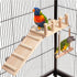 Bird Perches Platform Swing with Climbing Ladder, Parakeet Cage Accessories Wooden Playing Gyms Exercise Sturdy for Small Birds...