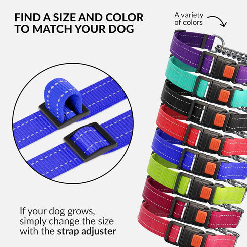 CollarDirect Martingale Dog Collar with Stainless Steel Chain and Quick Release Buckle - Reflective Collar for Large, Medium, Small Dogs - Blue, S...