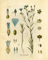 Ink Inc. Botanical Prints Wildflower Prints Floral Wall Art - Set of 6-8x10 - Unframed...