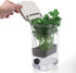 ProKeeper Herb Keeper – 1-Piece, White, with Removable Silicone Drain Plug, BPA-Free Plastic...
