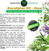 ELP Pure Eucalyptus Essential Oil - Pure and Natural, for Aromatherapy, Massage, Topical & Household Uses - 2 fl oz...