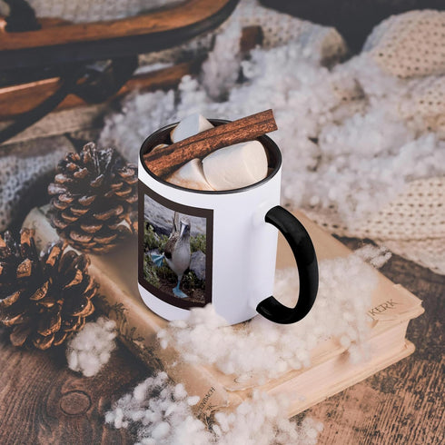 3dRose (mug_86141_4) Ecuador Galapagos Islands Blue-footed Booby - SA07 CMI0902 - Cindy Miller Hopkins - Two Tone Black Mug, 11oz...