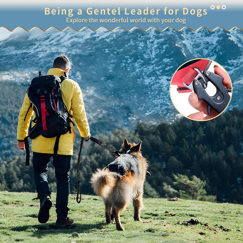Heavy Duty Dog Leash, 4-6 Feet 2 Comfortable Padded Control Handles, Traction Shock Absorbing Dog Leash for Training, Anti-Pull Reflective Dog Lea...