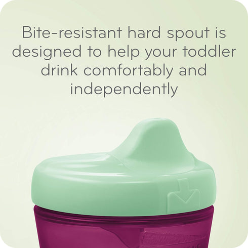 NUK Hide 'n Seek Hard Spout Sippy Cup, 10 oz, 2 Pack, 9+ Months...