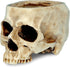 READAEER Skull Bowl Resin Skull Shaped Planter Flower Pot Candy Bowl for Home Office Indoor Desk Decorations - White...