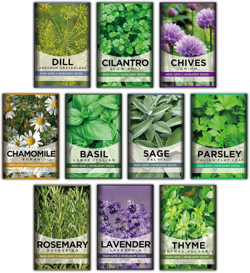 10 Kit Non-GMO Growing into Thyme, Lavender, Chamomile, Dill, Chives, Cilantro, Rosemary, Basil, Parsley, Sage Indoor/Outdoor for Kitchen Windowsi...