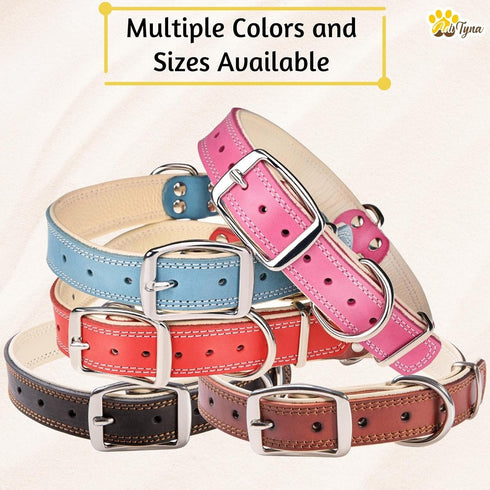 ADITYNA - Heavy-Duty Premium Leather Dog Collar for Small Dogs - Padded with Soft Genuine Leather for a Cozy Feel...