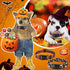 6 Pcs Halloween Dog Collars for Dogs Pumpkin Basic Dog Collars Adjustable Lightweight Holiday Dog Collar Comfortable Dog Collars with Plastic Buck...