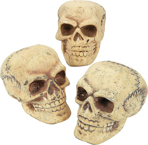 Fun Express Small Skulls for Halloween - Set of 3 - Use for Shrunken Heads and Scary Home Decor...