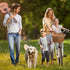 BUMBIN 6Ft Dog Leash Large Dogs, Bungee Dog Leash with 2 Handles, Heavy Duty Dog Leashes for Medium Small Dogs, No Pull Shock Absorbing Dog Leash ...