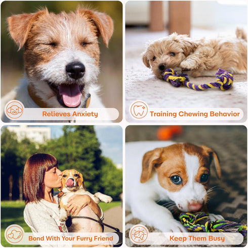 Puppy Teething Toys for Small Dogs, 5 Pack Cotton Puppy Dog Rope Toy for Small Dogs, Durable Dog Chew Toys for Aggressive Chewers Small Breed, Int...