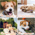 Puppy Teething Toys for Small Dogs, 5 Pack Cotton Puppy Dog Rope Toy for Small Dogs, Durable Dog Chew Toys for Aggressive Chewers Small Breed, Int...