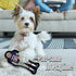 The 1st Ever Tough but Smooth Dog Toy NFL New England Patriots Football Athletes Player Tough Pet Toy. A Premium Quality Doggie Toy with Built-in ...