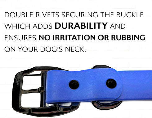 Regal Dog Products Medium Blue Waterproof Dog Collar with Heavy Duty Black Hardware Buckle & D Ring | Vinyl Coated, Adjustable Biothane Dog Collar...