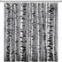 Birch Trees Shower Curtain Forest Mottled Trunk Tree Branch Outdoors Nature Theme Winter Rustic Landscape Bathroom Accessories Set with Hooks 70Wx...