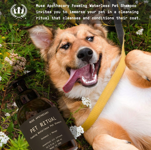 Muse Apothecary Pet Ritual Foaming Waterless Shampoo for Dogs, Waterless Dog Shampoo Foam, No Rinse Dog Shampoo, Waterless Dog Shampoo for Large D...