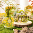 Dwpetzo PET Transparent Garden Stickers for Scrapbooking, Flower Plant Gardening Natural Tree Roses Stickers for Junk Journaling Scrapbook Supplie...