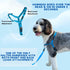 ShawnCo Dream Walk No-Pull Dog Harness- Adjustable, Comfortable, Easy to Use Pet Halter to Help Stop Pulling for Small, Medium and Large Dogs (Icy...
