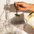 Tea Infuser for Loose Leaf Tea, Round, Clear...