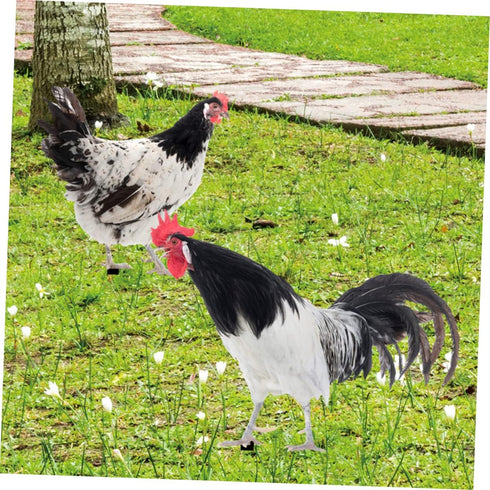 2pcs Decorative Garden Inserts Outdoor Sculpture Garden Poultry Statue Outdoor Sign Garden Stake Yard Sign Outside House Decor Garden Chicken Stat...