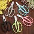 Gardening Scissor White Sharp Blade Alloy Steel Garden Shears for Cutting Flowers Trimming Plants of Yard Florist Rose Herb Hedge and Fruits Picki...