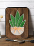 BAZIMA DIY String Art Kit for Beginner,DIY Aloe Potted Craft Kit,Unique Gift,Craft Kit for Holidays...