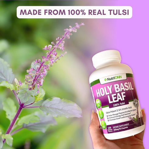 Holy Basil Leaf Capsules - 500mg - 2.5% Ursolic Acid - 120 Vegan Capsules - Real Tulsi Extract Supplement - Positive Mindset - Adaptogenic & Ayurv...
