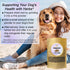 Cure wid Pure Organic Marshmallow Root Herb 4 Oz – Cut & Sifted Marshmallow Root Tea in Eco-Friendly Resealable Bag Versatile Choice for Herbal Te...