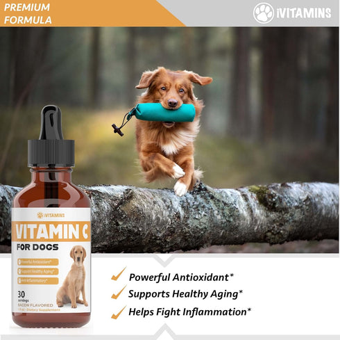 Vitamin C for Dogs | Helps with Improving Immune Health | Vitamin C for Dogs Liquid | Dog Immune Support | Dog Immune and Allergy Supplement | Dog...