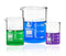 EISCO Premium 3pc Glass Beakers Set, 50mL, 100mL, 250mL - Low Form Lab Beakers - Borosilicate 3.3 Glass - Packaged in Thick, Custom-Fit Foam Inser...