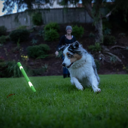 Chuckit! Max Glow Ultra Fetch Stick Outdoor Dog Toy, 12 Inches, for All Breed Sizes...