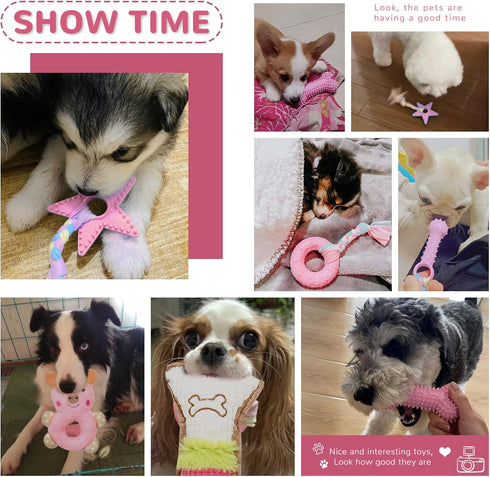 6 Pack Puppy Toys for Teething Small Dogs, Cute Pink Dog Chew Toys for Puppies, Soft Squeaky Dog Toys for Small Breed Cleaning Doggy Teeth, Outdoo...