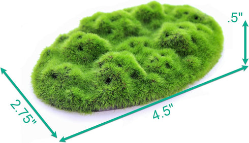 Penn-Plax Aqua-Flora Aquarium Living Resin Decoration with Embedded Glosso Plant Seeds – Moss Patch – Safe and Healthy for Freshwater Fish...