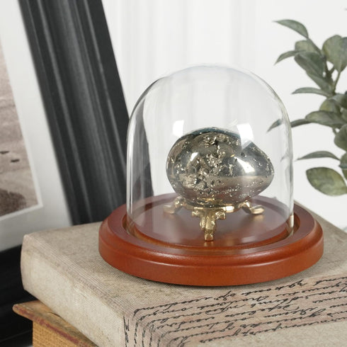 Plymor 3" x 3" Glass Display Dome Cloche (Walnut Base)...