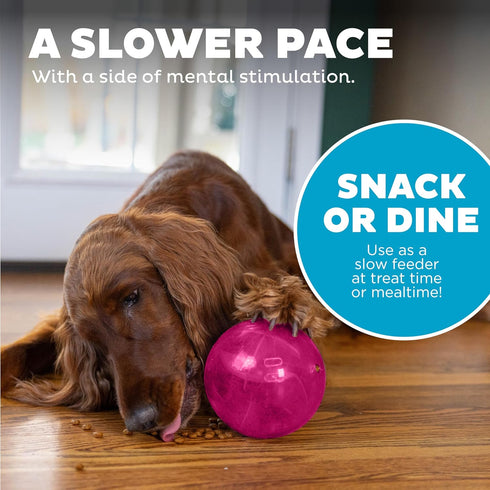 Outward Hound Mazee Puzzle Ball Interactive Treat Dispensing Dog Toy, Pink...