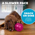 Outward Hound Mazee Puzzle Ball Interactive Treat Dispensing Dog Toy, Pink...