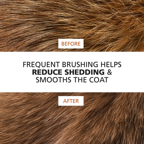 Wahl Premium Pet Double Sided Pin Bristle Brush with Patented Stacked Pin Design for Dogs - Removes Loose Hair & Stimulates the Skin while Creatin...