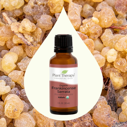Plant Therapy Organic Frankincense Serrata Essential Oil 100% Pure, USDA Certified Organic, Undiluted, Natural Aromatherapy, Therapeutic Grade 30 ...