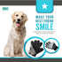 KENNELS & KATS Pet Grooming Gloves | Deshedding Glove for Easy, Mess-free Grooming | Grooming Mitt for Dogs, Cats, Rabbits & Horses with Long/Shor...