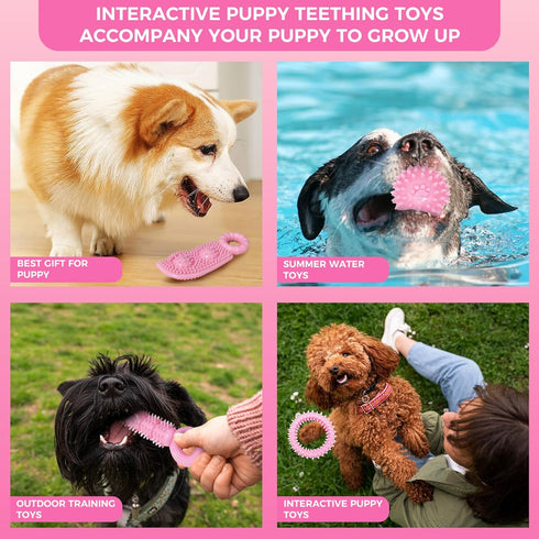 Puppy Toys, 9 Pack Puppy Chew Toys for Teething, Cute Pink Small Dog Toys, Puppy Teething Toys for Puppies, Soft Durable Interactive Dog Chew Toys...