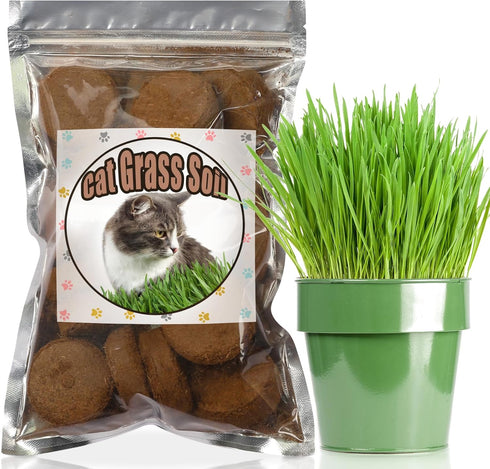 Organic Potting Soil for Indoor Cat Grass, Great Seedling Soil for Wheat Grass, bermuda, catnip, and All Indoor Herb Plants...