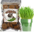 Organic Potting Soil for Indoor Cat Grass, Great Seedling Soil for Wheat Grass, bermuda, catnip, and All Indoor Herb Plants...