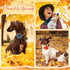 Sanwuta 30 Pcs Fall Dog Collar Flowers Bulk Thanksgiving Pet Flower Collar Bow Ties Holiday Dog Accessories Slides Attachment Decorations for Smal...
