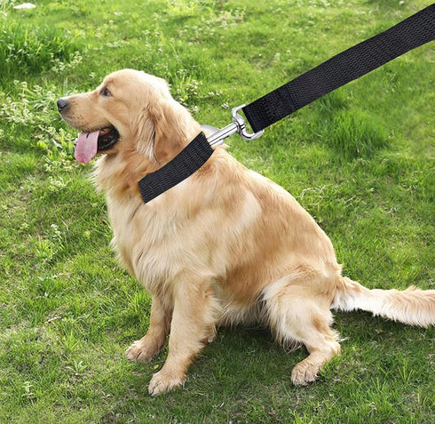4FT/5FT/6FT Strong Dog Leash, Nylon Dog Leashes for Small Medium Large Dogs (Black, 1 in x 10 ft)...