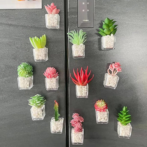 Plant Magnets for Fridge Succulent Artificial Plants Refrigerator Magnets,Funny 3D Resin Decorative Succulent Fridge Magnets Refrigerator Set of 4...