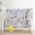 Baby Blanket for Boys Girls Super Soft Blanket,Fluffy Warm Lightweight Baby Receiving Blankets,Double Layer with Dotted Backing for Toddler Nurser...