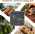 17.7 x 80 Inch Bearded Dragon Tank Carpet, Reptile Terrarium Liner Substrate for Leopard Gecko, Snake, Lizard and Tortoise, Non-Adhesive Reptile M...