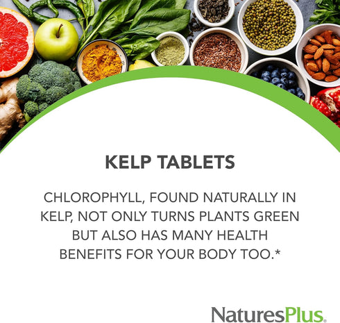 NaturesPlus IcelAndic Kelp - 150 mcg Iodine; 150 mg Kelp- 300 Vegetarian Tablets - Natural Iodine Supplement - Gluten-Free - 300 Servings...