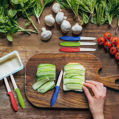 Paring Knife set of 6 PCS, 3.5 Inch Stainless Steel Fruit and Vegetable Knives,Comfortable Handle With Multi-Color Red/Green/Blue...
